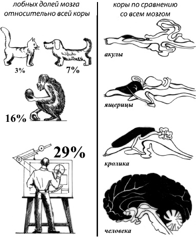 Иллюстрация к книге — Занимательная психология [i_007.jpg]