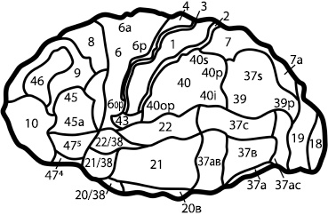 Иллюстрация к книге — Занимательная психология [i_009.jpg]