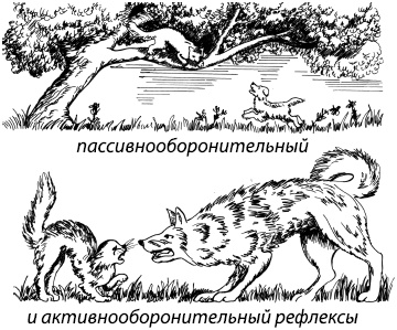 Иллюстрация к книге — Занимательная психология [i_022.jpg]