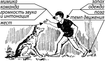 Иллюстрация к книге — Занимательная психология [i_074.jpg]