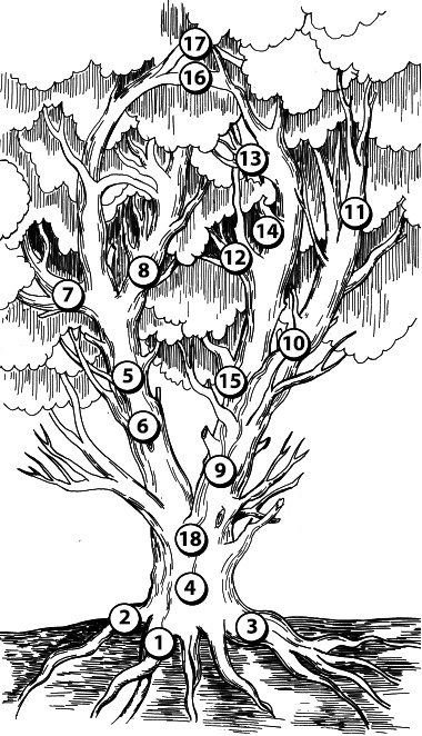 Иллюстрация к книге — Занимательная психология [i_098.jpg]