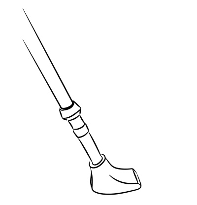 Иллюстрация к книге — Скандинавская ходьба лечит [i_014.jpg]