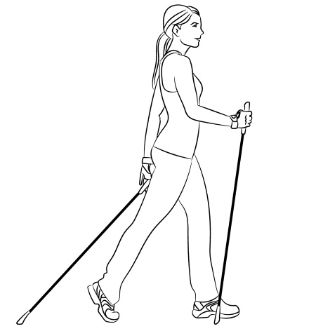 Иллюстрация к книге — Скандинавская ходьба лечит [i_019.jpg]