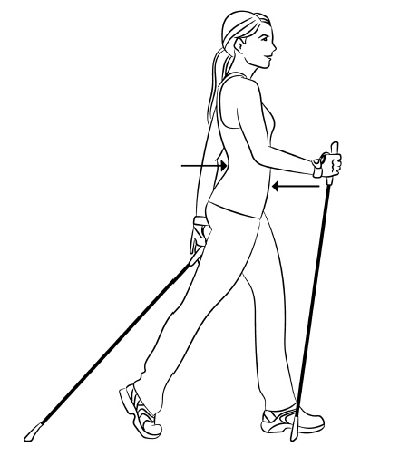 Иллюстрация к книге — Скандинавская ходьба лечит [i_024.jpg]