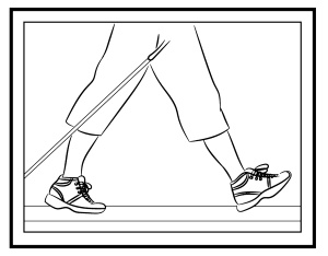 Иллюстрация к книге — Скандинавская ходьба лечит [i_027.jpg]