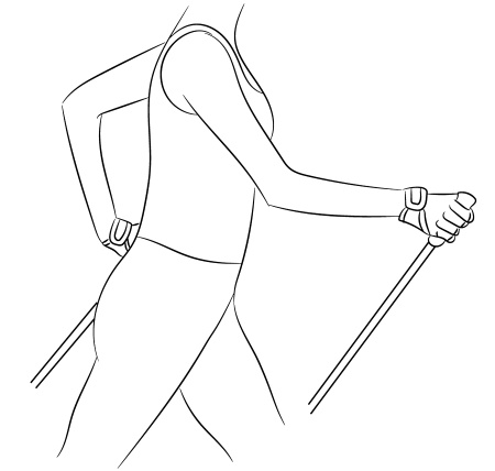 Иллюстрация к книге — Скандинавская ходьба лечит [i_028.jpg]