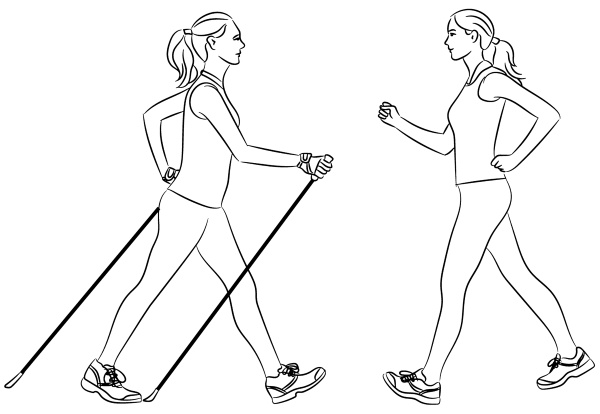 Иллюстрация к книге — Скандинавская ходьба лечит [i_029.jpg]