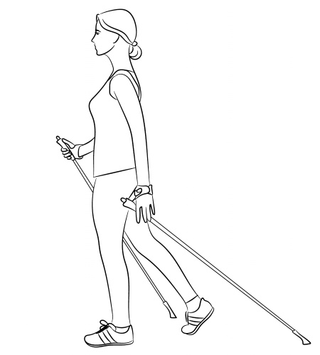 Иллюстрация к книге — Скандинавская ходьба лечит [i_044.jpg]