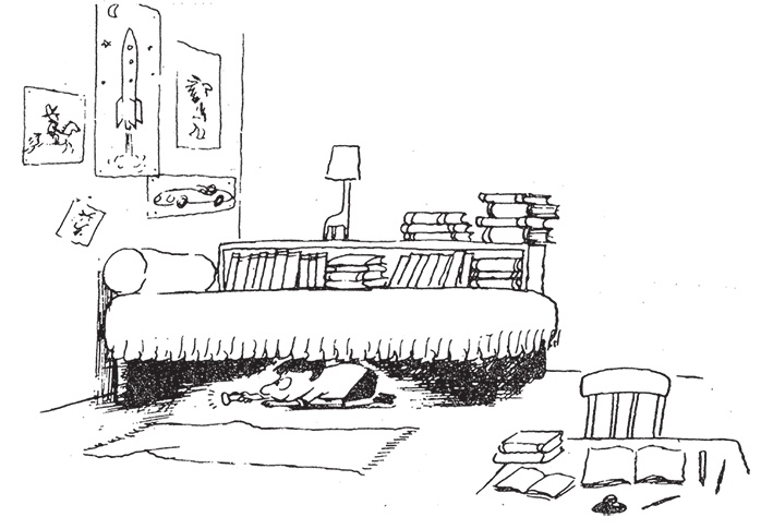 Иллюстрация к книге — Неприятности малыша Николя [i_031.jpg]