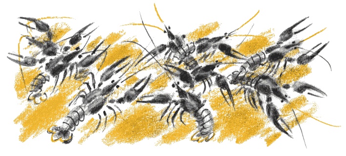 Иллюстрация к книге — Степной ветер [i_008.jpg]