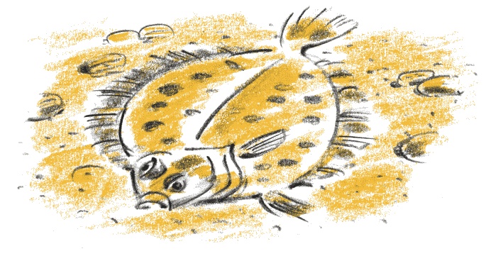 Иллюстрация к книге — Степной ветер [i_026.jpg]