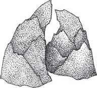 Иллюстрация к книге — Переход [i_031.jpg]