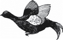 Иллюстрация к книге — Переход [i_047.jpg]