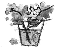 Иллюстрация к книге — Сотворение мира [i_017.jpg]