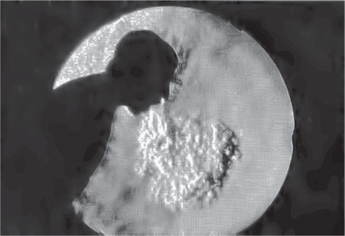 Иллюстрация к книге — Заразительный. Психология сарафанного радио. Как продукты и идеи становятся популярными [i_005.jpg]