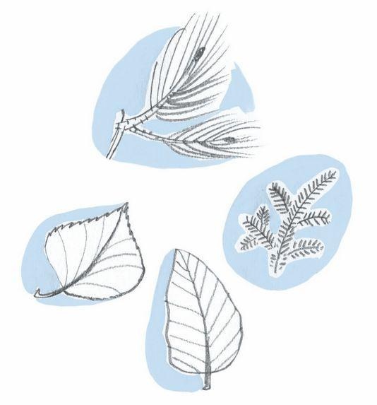 Иллюстрация к книге — Франц едет с классом за город [i_006.jpg]