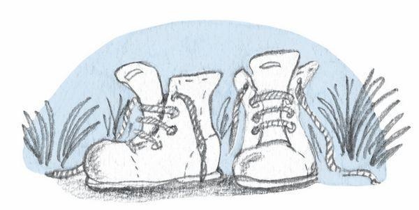 Иллюстрация к книге — Франц едет с классом за город [i_007.jpg]