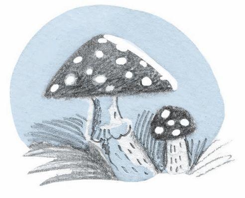 Иллюстрация к книге — Франц едет с классом за город [i_010.jpg]