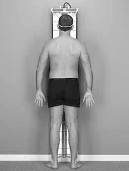 Иллюстрация к книге — Веганское сыроедение и здоровый образ жизни [i_005.jpg]