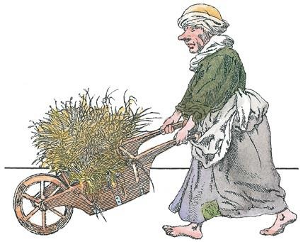 Иллюстрация к книге — Детский университет. Исследователи объясняют загадки мира. Книга первая [i_015.jpg]