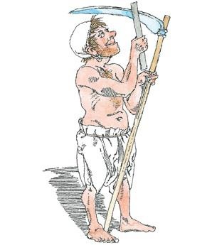 Иллюстрация к книге — Детский университет. Исследователи объясняют загадки мира. Книга первая [i_018.jpg]