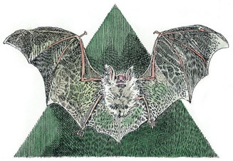 Иллюстрация к книге — Детский университет. Исследователи объясняют загадки мира. Книга первая [i_074.jpg]