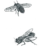 Иллюстрация к книге — Детский университет. Исследователи объясняют загадки мира. Книга первая [i_083.jpg]