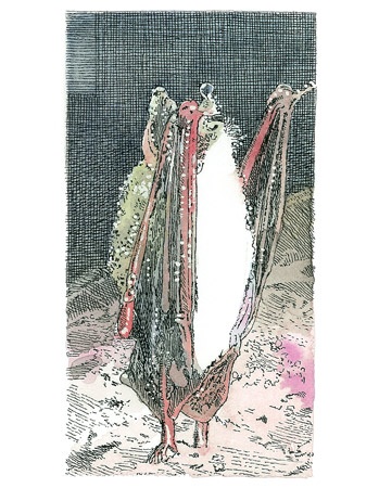 Иллюстрация к книге — Детский университет. Исследователи объясняют загадки мира. Книга первая [i_088.jpg]