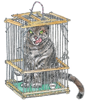 Иллюстрация к книге — Детский университет. Исследователи объясняют загадки мира. Книга первая [i_128.jpg]