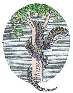 Иллюстрация к книге — Детский университет. Исследователи объясняют загадки мира. Книга первая [i_134.jpg]