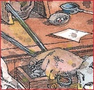 Иллюстрация к книге — Детский университет. Исследователи объясняют загадки мира. Книга первая [i_146.jpg]