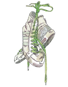 Иллюстрация к книге — Детский университет. Исследователи объясняют загадки мира. Книга первая [i_163.jpg]