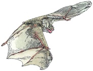 Иллюстрация к книге — Детский университет. Исследователи объясняют загадки мира. Книга первая [i_175.jpg]