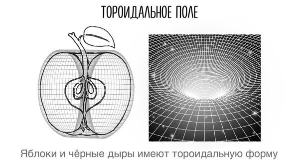 Иллюстрация к книге — Сверхъестественный разум. Как обычные люди делают невозможное с помощью силы подсознания [i_036.jpg]