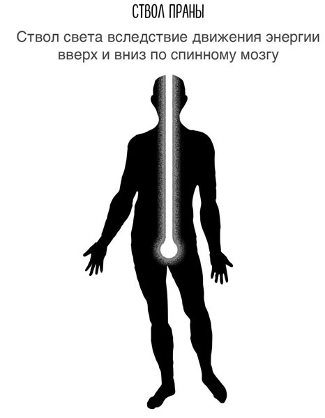 Иллюстрация к книге — Сверхъестественный разум. Как обычные люди делают невозможное с помощью силы подсознания [i_038.jpg]