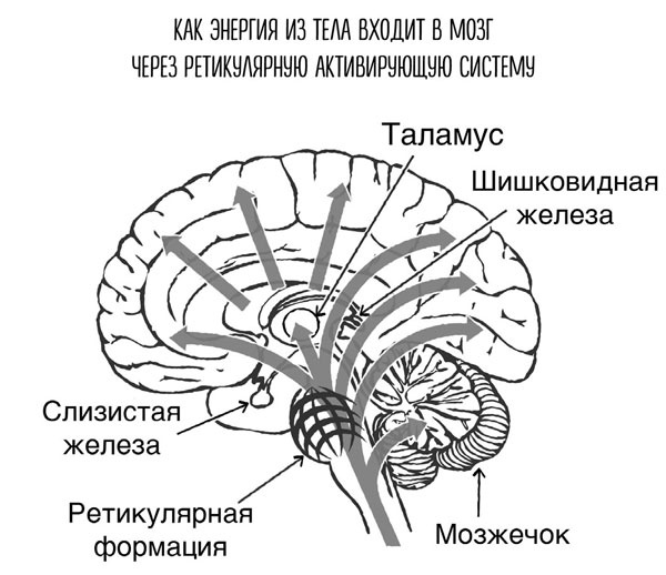 Иллюстрация к книге — Сверхъестественный разум. Как обычные люди делают невозможное с помощью силы подсознания [i_039.jpg]