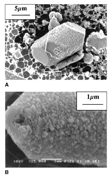 Иллюстрация к книге — Сверхъестественный разум. Как обычные люди делают невозможное с помощью силы подсознания [i_063.jpg]