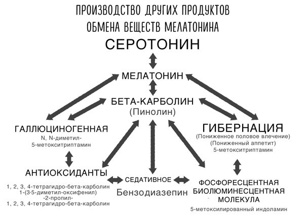 Иллюстрация к книге — Сверхъестественный разум. Как обычные люди делают невозможное с помощью силы подсознания [i_069.jpg]