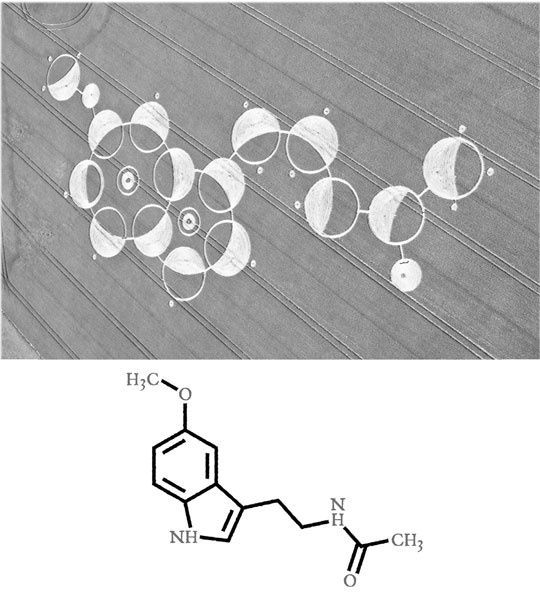 Иллюстрация к книге — Сверхъестественный разум. Как обычные люди делают невозможное с помощью силы подсознания [i_070.jpg]