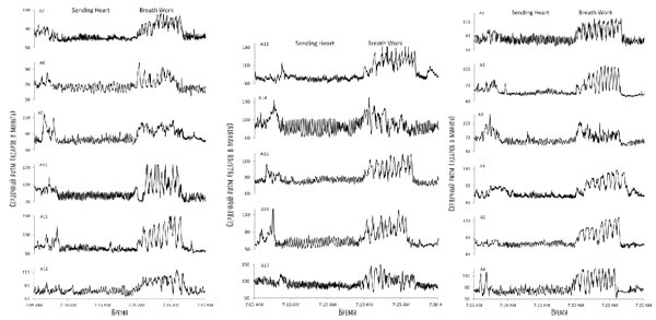 Иллюстрация к книге — Сверхъестественный разум. Как обычные люди делают невозможное с помощью силы подсознания [i_076.jpg]