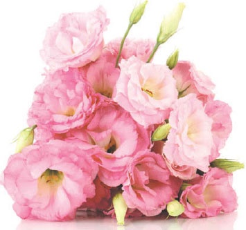 Иллюстрация к книге — Суставная гимнастика [_13.jpg]