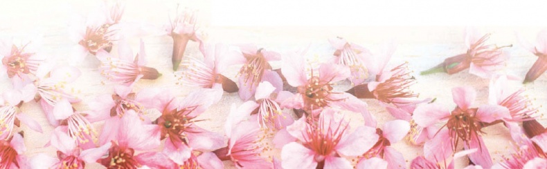 Иллюстрация к книге — Суставная гимнастика [_46.jpg]