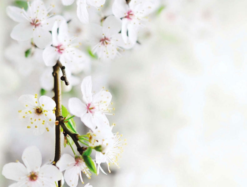 Иллюстрация к книге — Суставная гимнастика [_9.jpg]