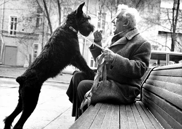 Иллюстрация к книге — Юрий Никулин. Смешное и трагическое [i_014.jpg]