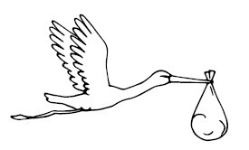 Иллюстрация к книге — Золотые правила стиля. Дресс-код успешной женщины [i_103.jpg]