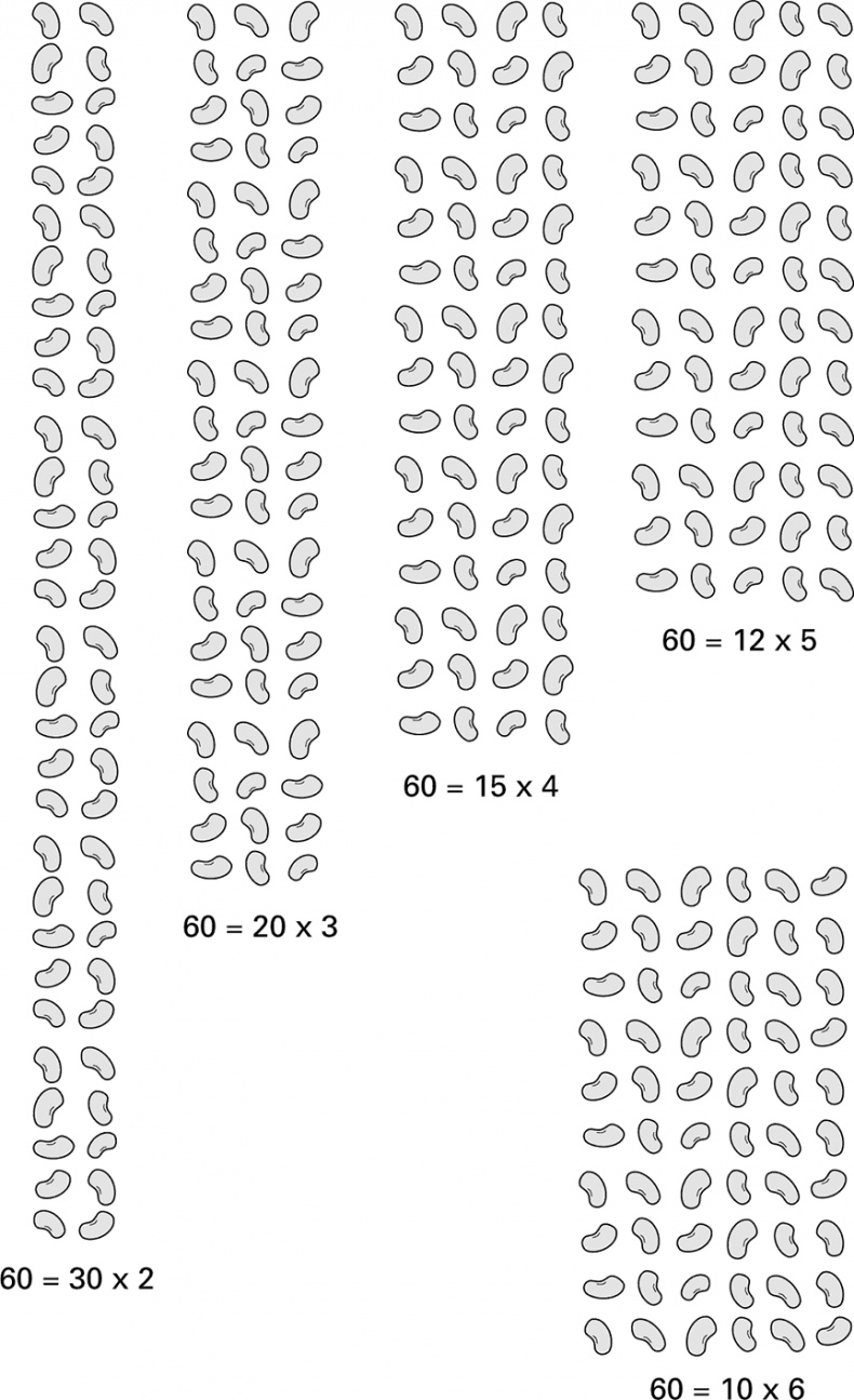 Иллюстрация к книге — Тайны чисел. Математическая одиссея [i_012.jpg]
