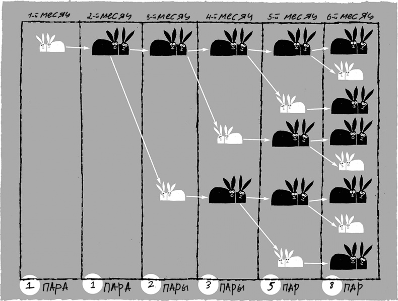 Иллюстрация к книге — Тайны чисел. Математическая одиссея [i_026.jpg]