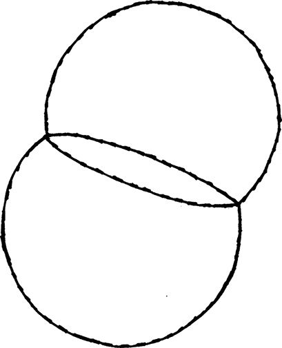 Иллюстрация к книге — Тайны чисел. Математическая одиссея [i_039.jpg]