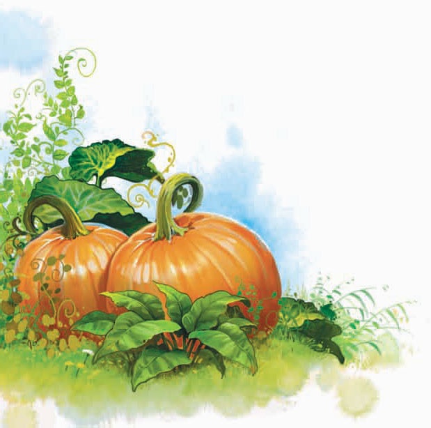 Иллюстрация к книге — Башня желаний [_31.jpg]