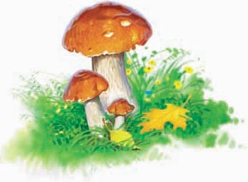 Иллюстрация к книге — Башня желаний [_35.jpg]